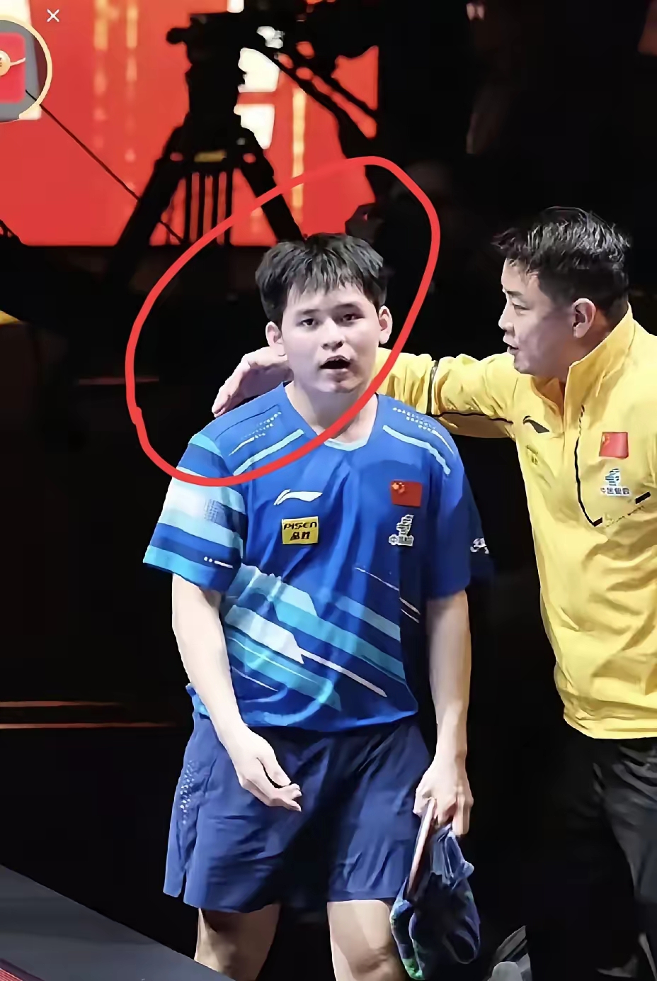 瑞典乒乓球队轻取德国乒乓球队，王皓关键制胜的简单介绍